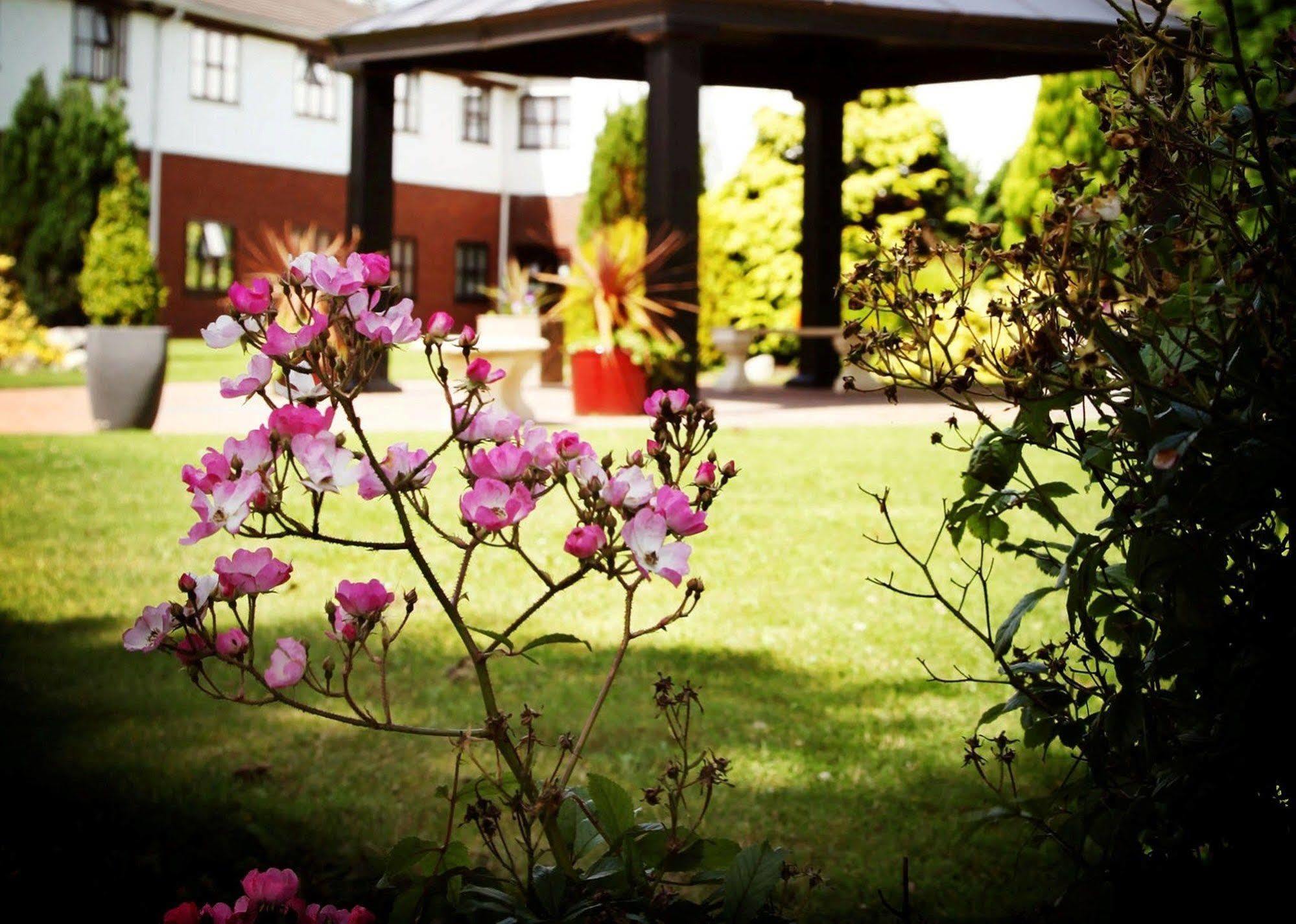 Beaufort Park Hotel Mold Exteriör bild